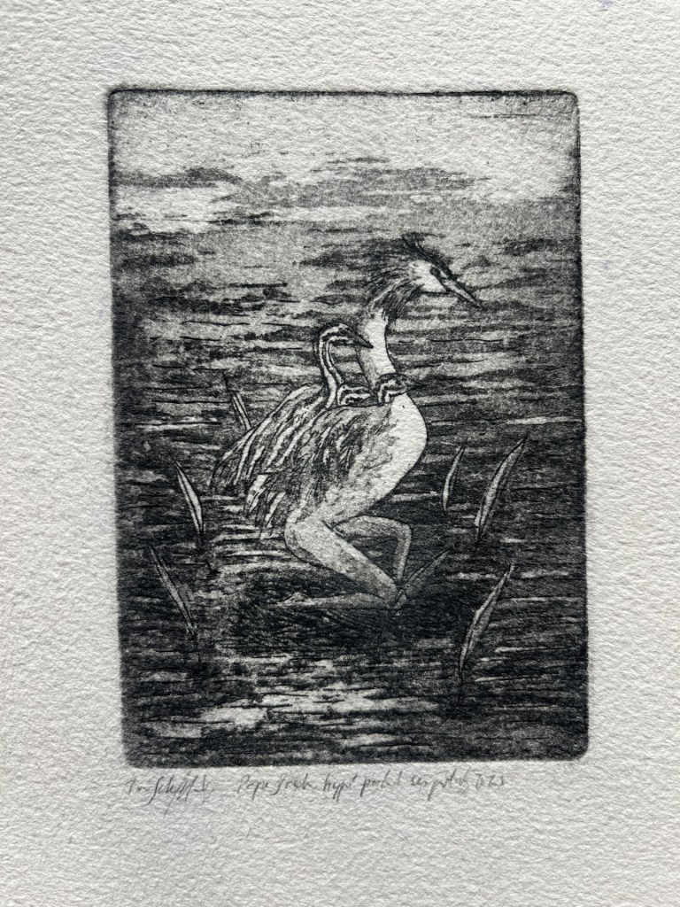 Série "Faune du Léman"
Exposition le 12 décembre à la Galerie Tiramisu, Genève